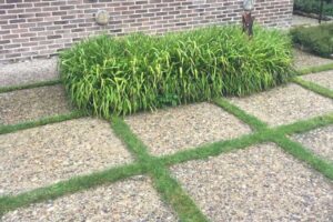 Den gamle indkørsel er delt op og de rer tilført lidt grønt til dele af den bl.a. ved at så græs mellem de støbte fliser